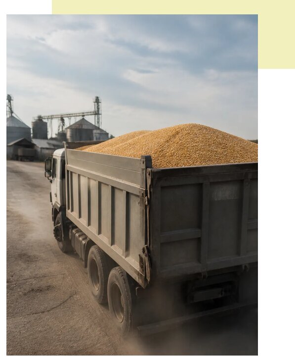 Перевозка сельхозпродукции навалом в Электросталь по цене от 3039 р. | Агросервис-Элк